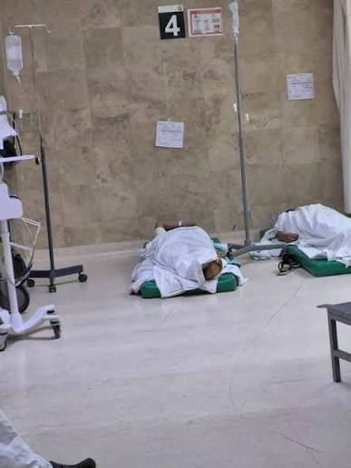 Asociación de pelones sabelotodo. tweet media