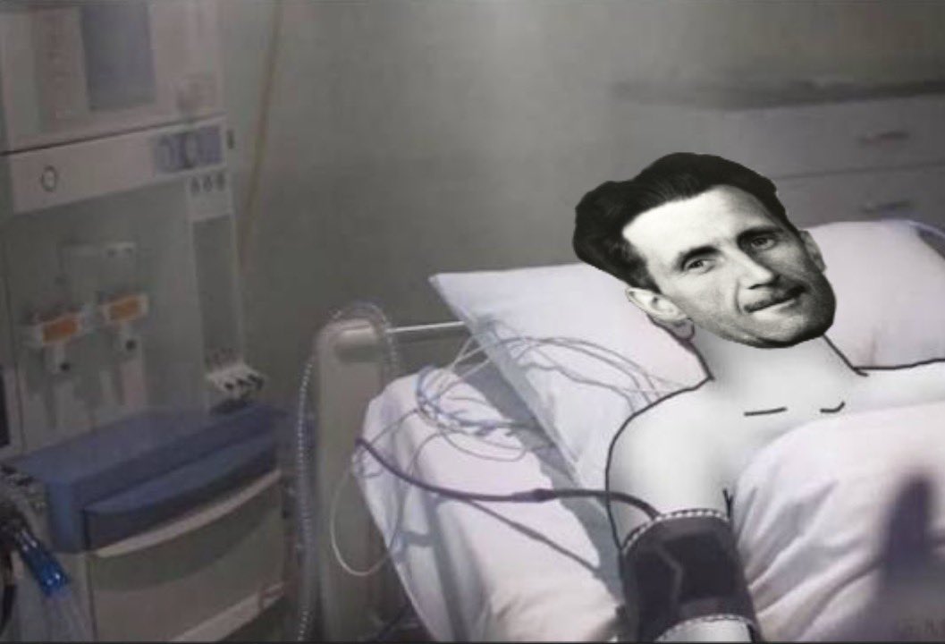 (No) Signal tweet media