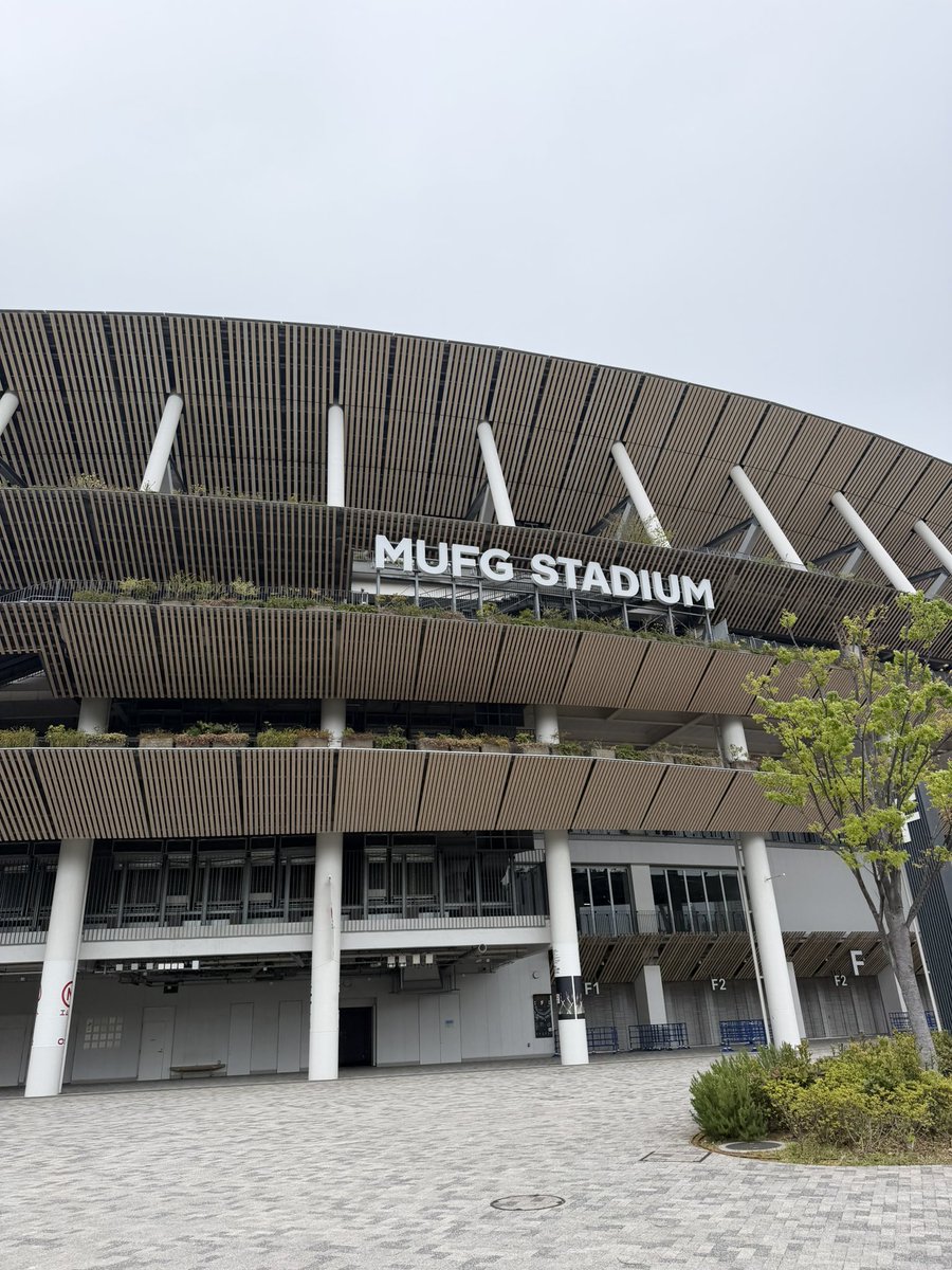 ヤニカス tweet media