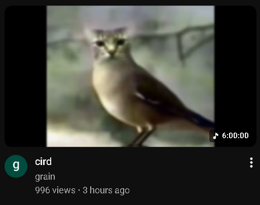 ✨KADK9💫 tweet media