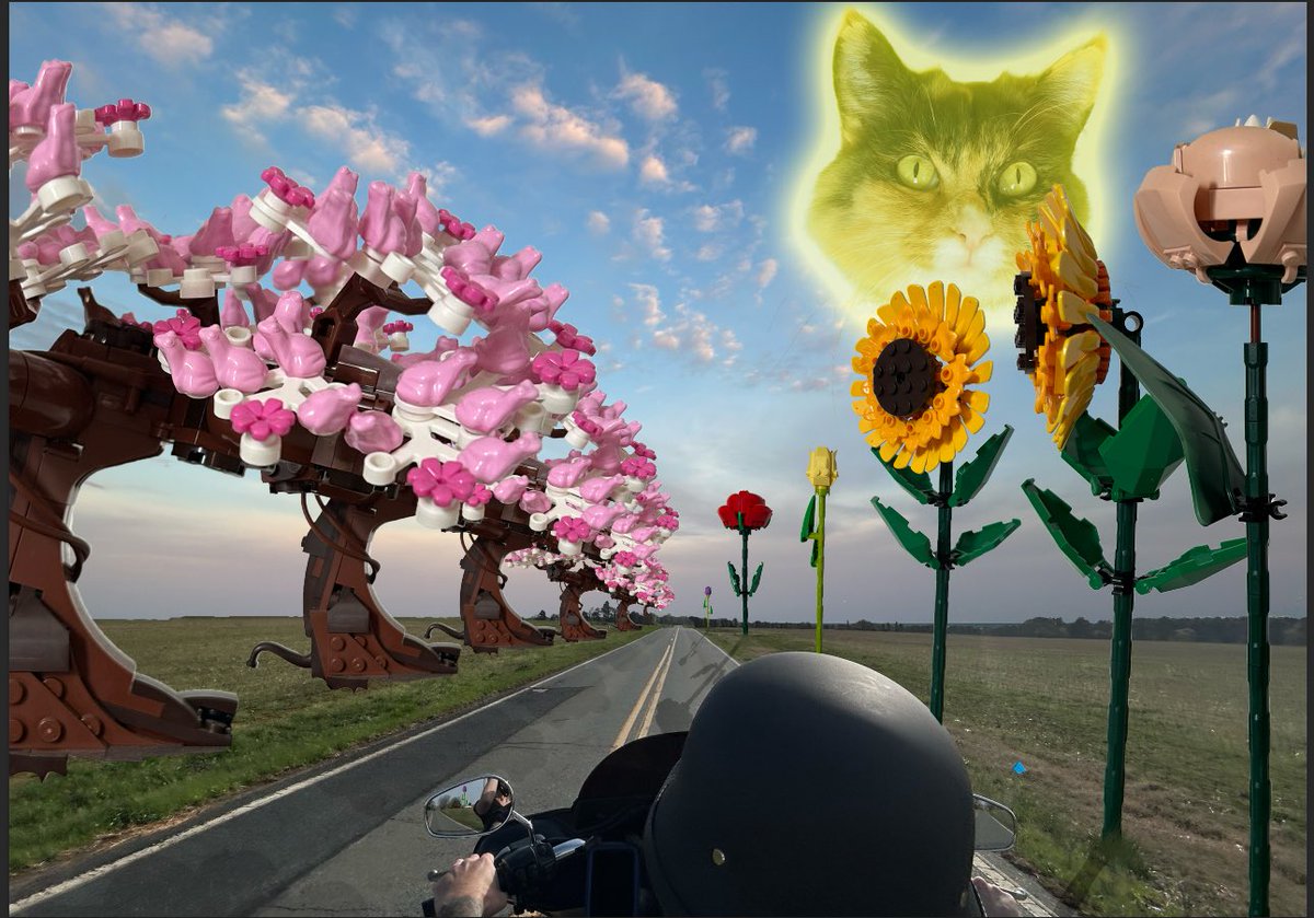 THRASHERKITTY tweet media