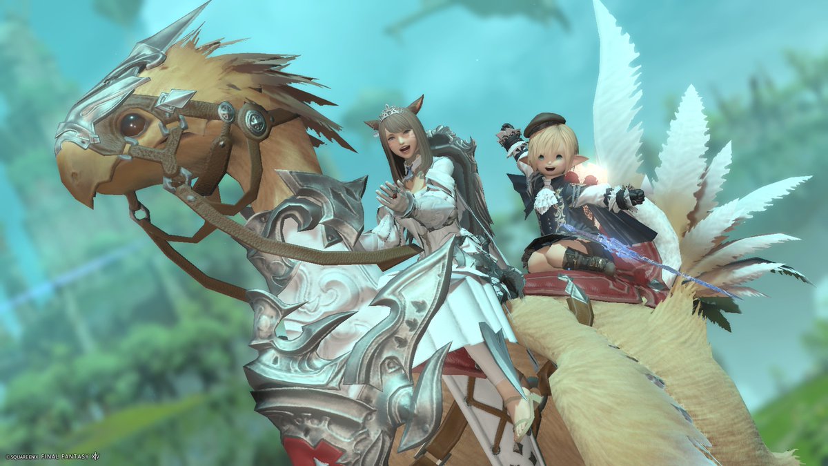 ぽょ!! tweet media