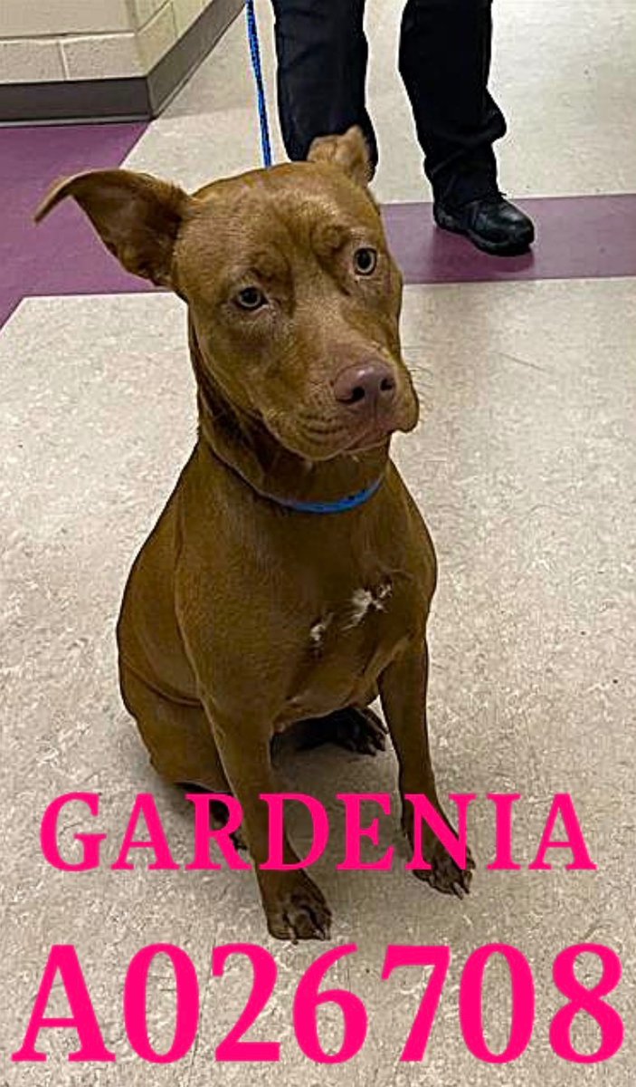 Fionaismybitch tweet media