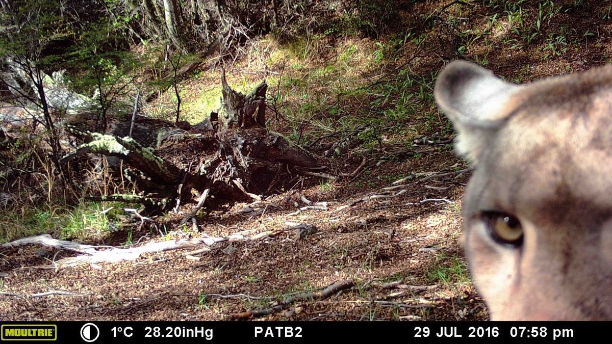 таши tweet media