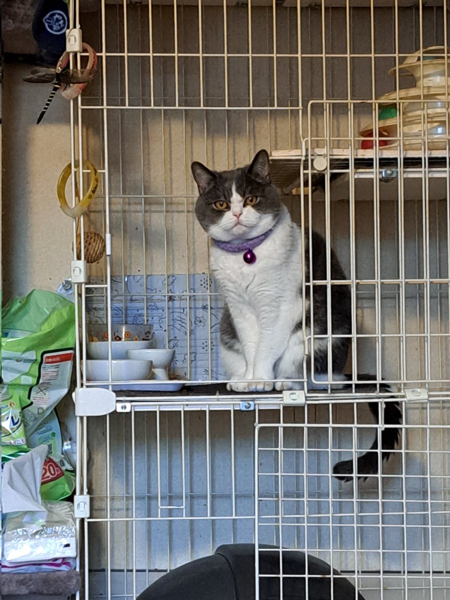 manamon🤗☝️ tweet media