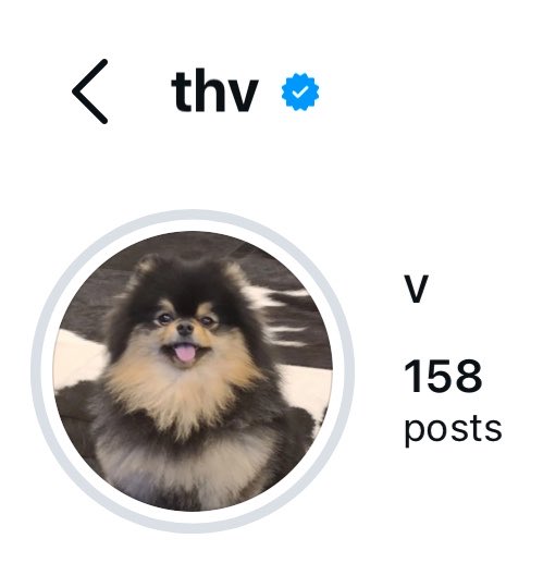 vale ៹ VAI VER O BTS 🪭 tweet media