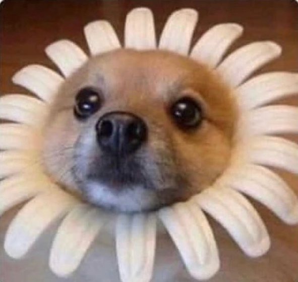 BlueBlurBoy tweet media