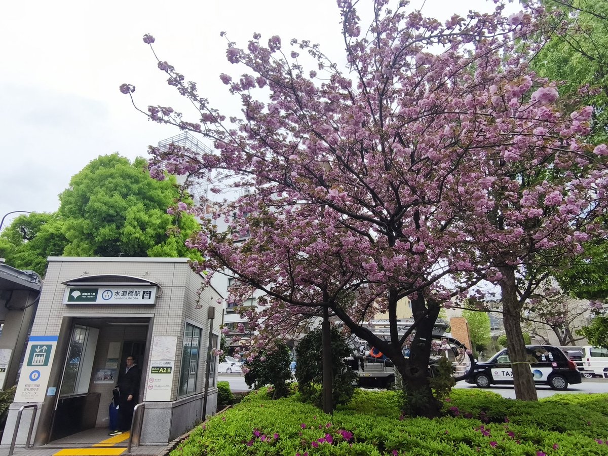 まいたそ☆北條蒔粋🇬🇧 tweet media