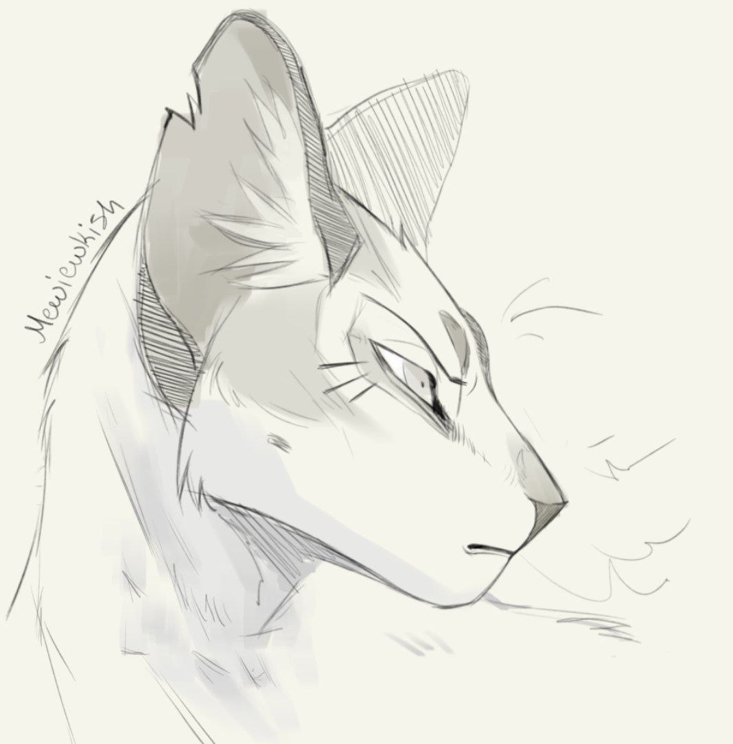 ⊹ ࣪ ˖꩜Mewiewkish꩜⊹ ࣪ ˖ tweet media