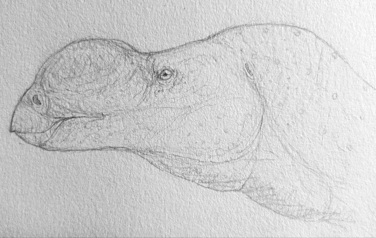 Quackingbeast tweet media