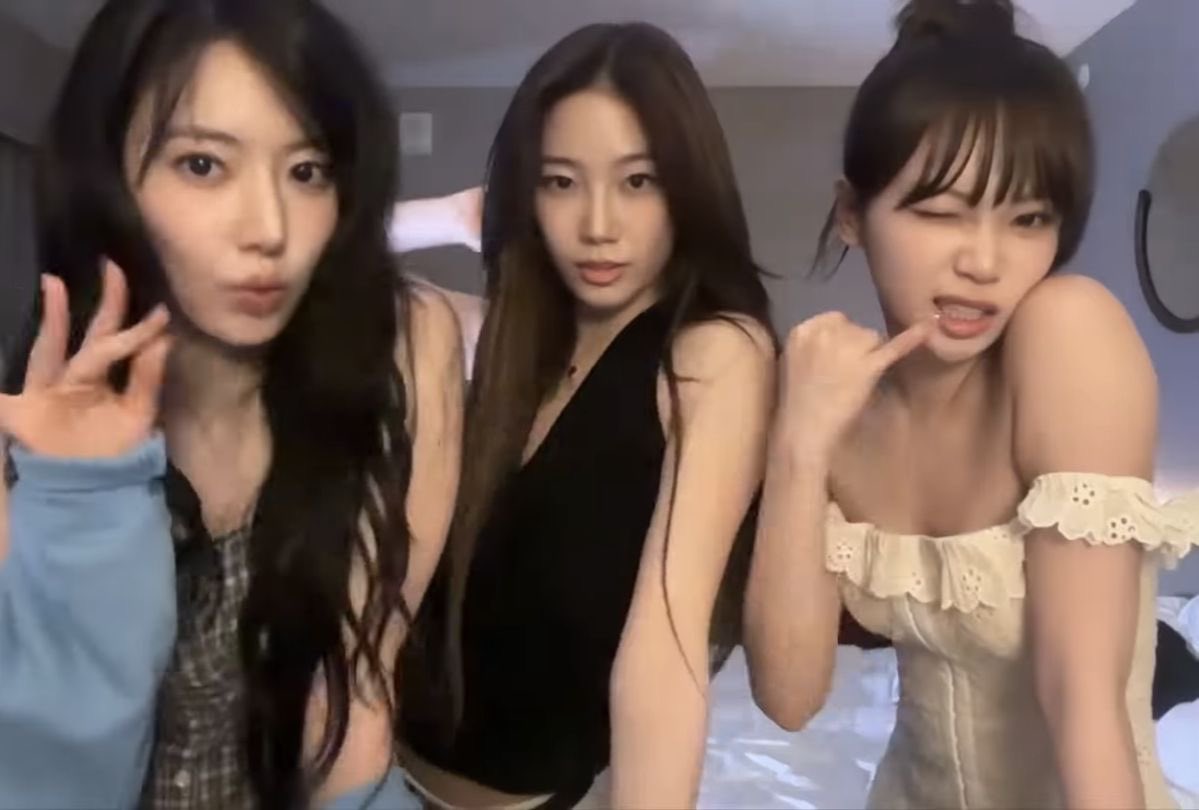 📂🎉 tweet media