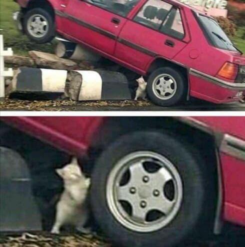 the pitt med student⚕️ tweet media