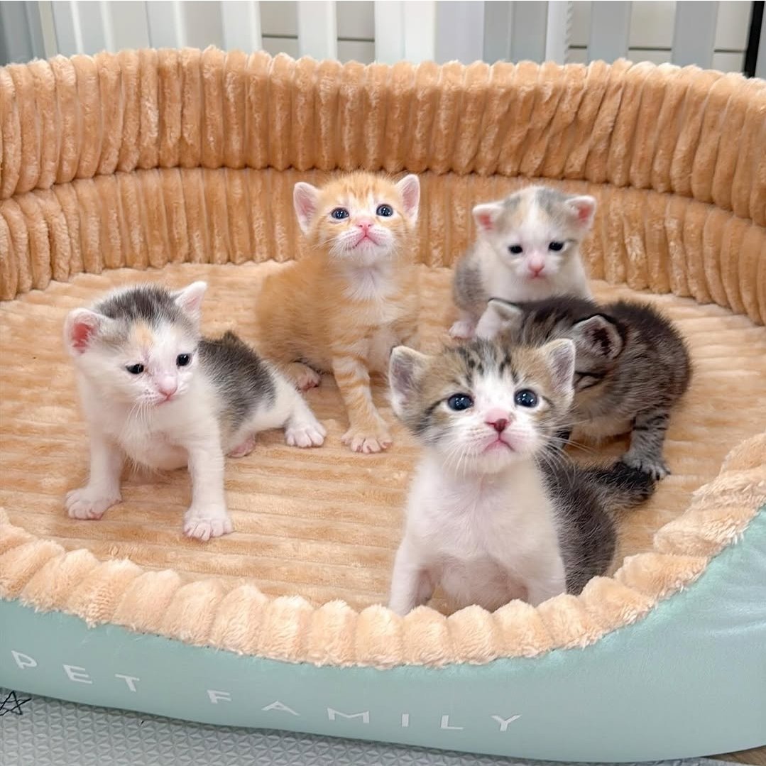 Cher ૮ ᴗ͈ˬᴗ͈ෆა tweet media