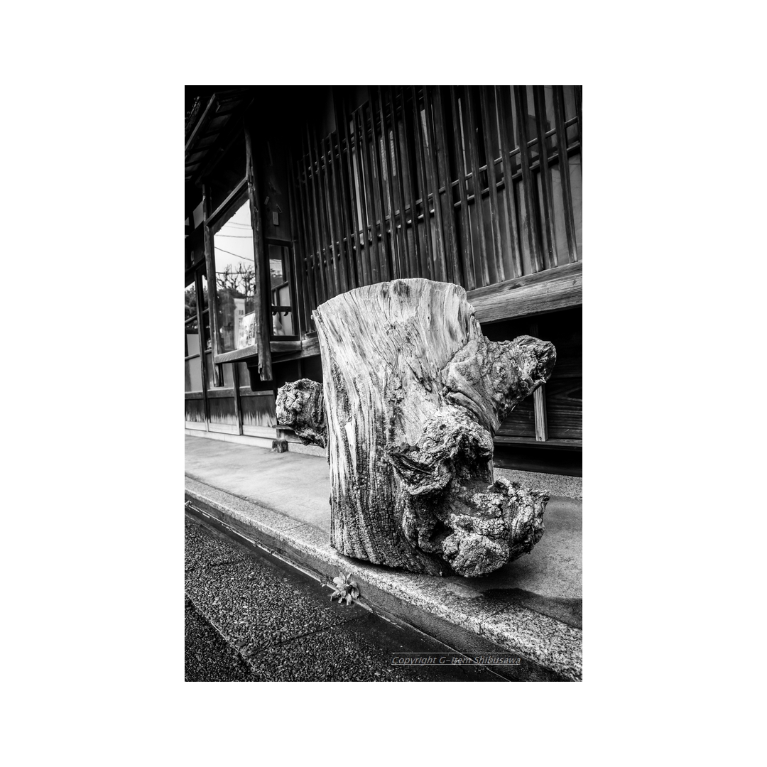 shibu_g_item's tweet photo. Old Things
#scenery #Snapshot
#streetphotography
#streetsnap #Tokyo #Japan
#backalley
#monochrome #monochromephoto
#monochromephotography
#ricohgriii #ricohgr3
#RICOH #ricohgr https://t.co/Jlt3EiGc6Z