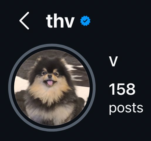 THV🎄 tweet media