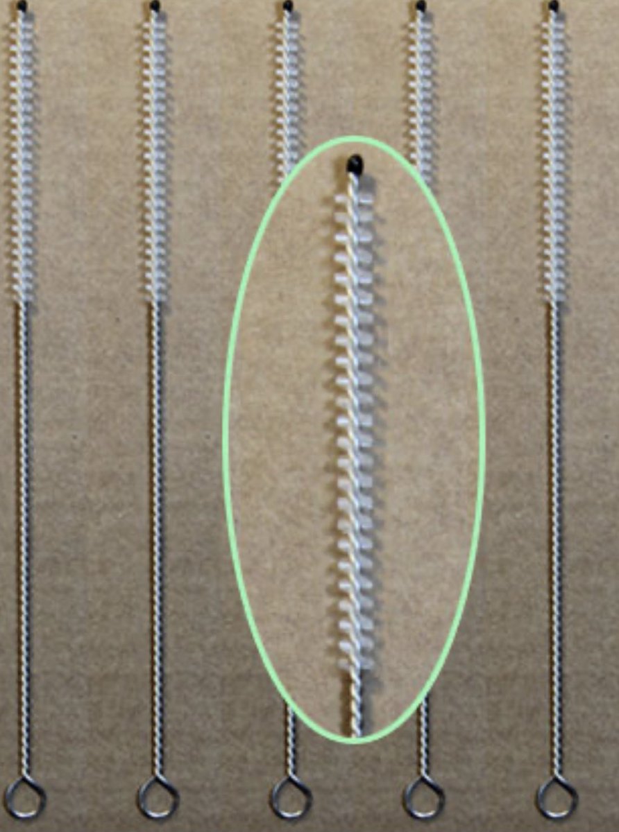 the pipe cabin tweet media