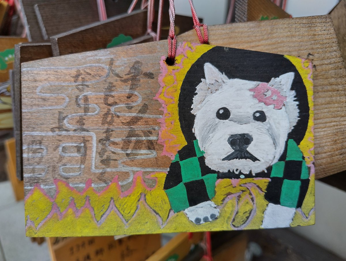 Dan Badd... tweet media