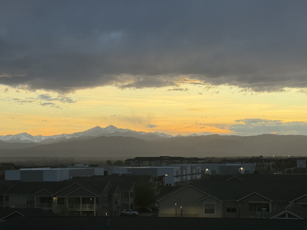 brian herring tweet media