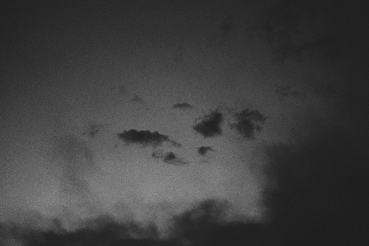 𝚖𝚘𝚗𝚔𝚢𝙳𝙸𝙾 𓃦 tweet media