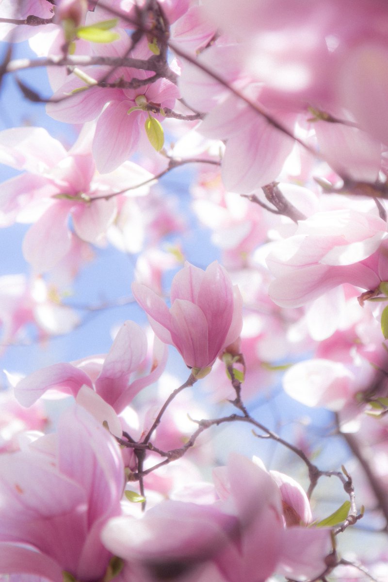 𝗦𝟮 tweet media