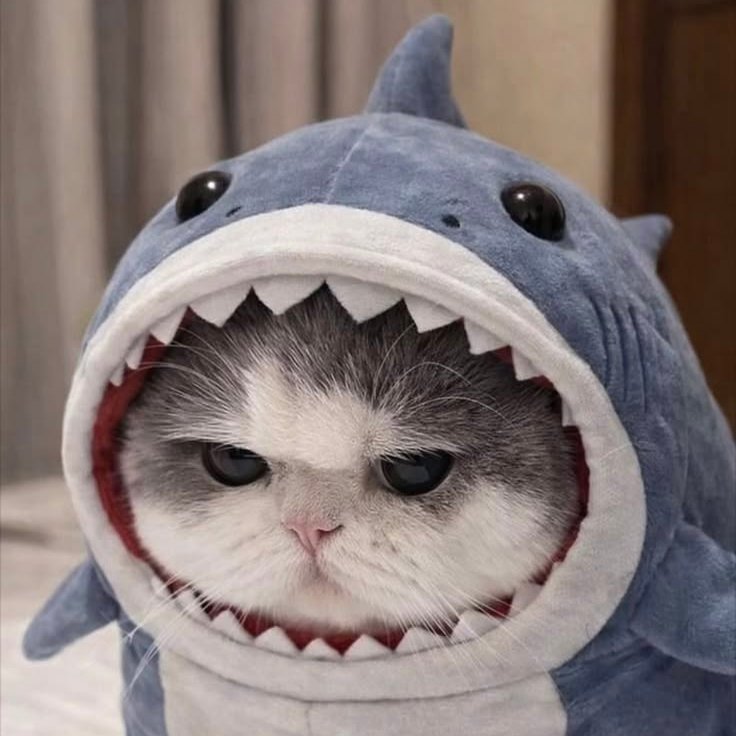 Carmenizer06 tweet media