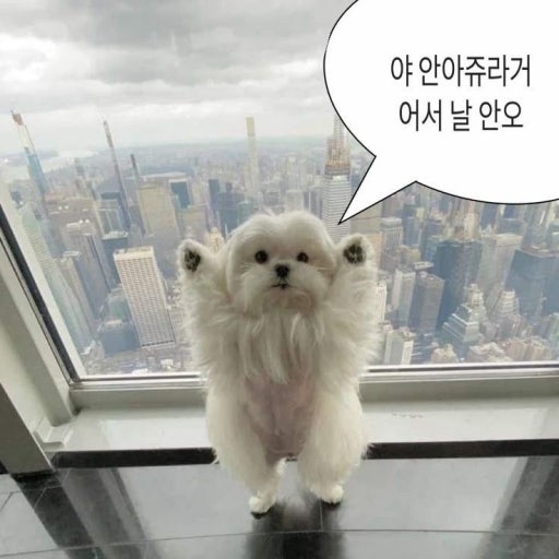 잇힝◕‿◕ tweet media