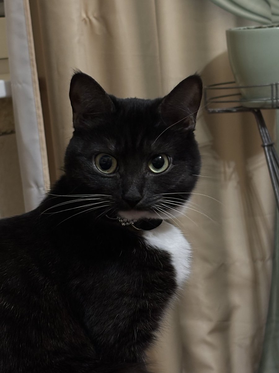 ошметок) tweet media