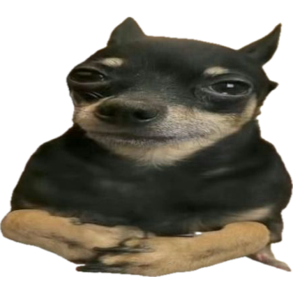 lily VAI VER O BTS SIM tweet media