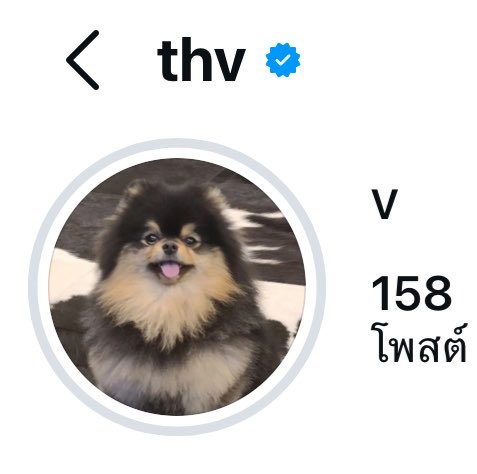🐱🍊🥢ʟɪʟ ᴍᴇᴏᴡ ᴍᴇᴏᴡ ⑦ 💜 tweet media