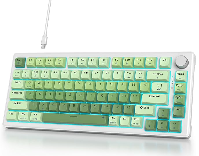 BuzzAcervo8759's tweet photo. 12. Teclado
Teclado foi fd achar também mas tem esse 75% TKL da iTastatur (que porra de marca é essa❓) que te custaria R$300,00. Acho que a única coisa desse setup que eu genuinamente compraria. https://t.co/vVFRKnDlY6