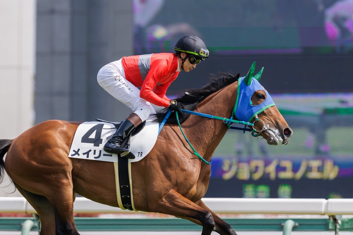 ワラウカド（公式） tweet media