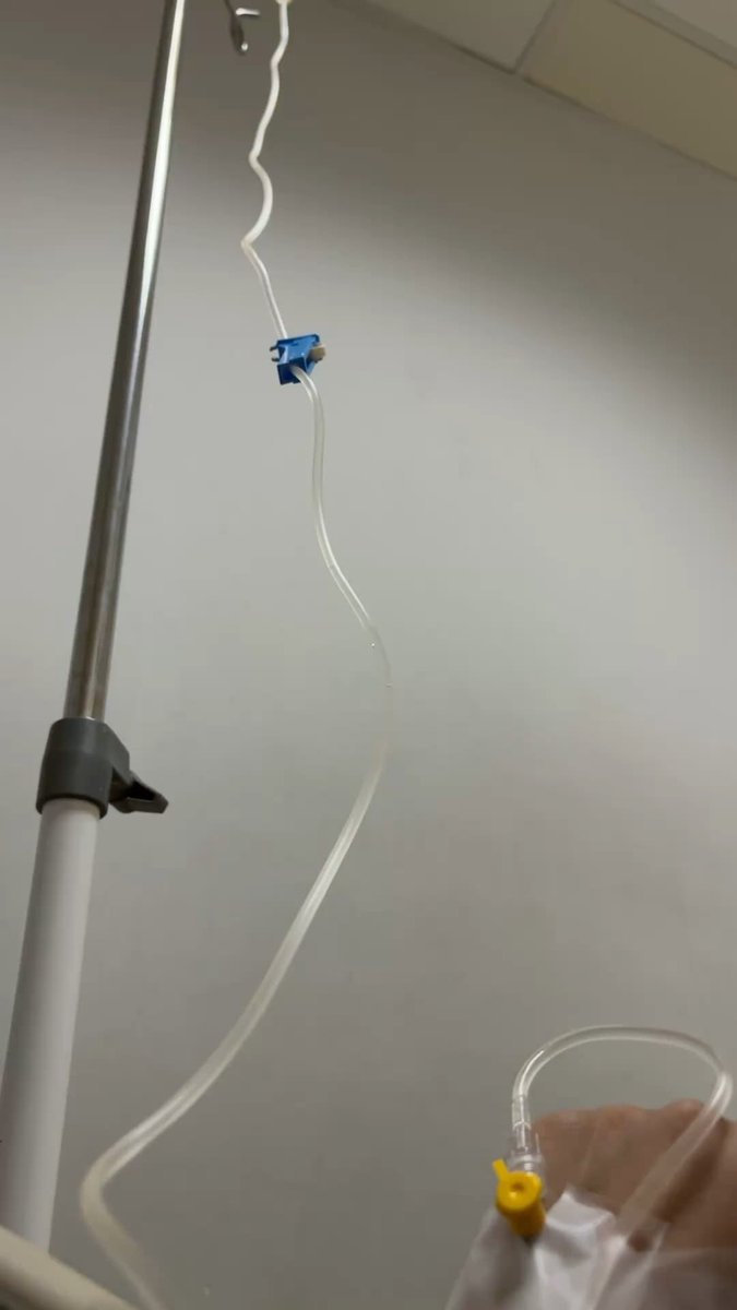 нєssα tweet media