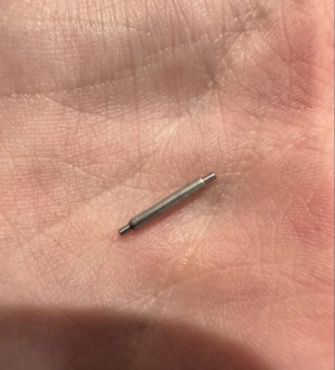 angelica96 tweet media