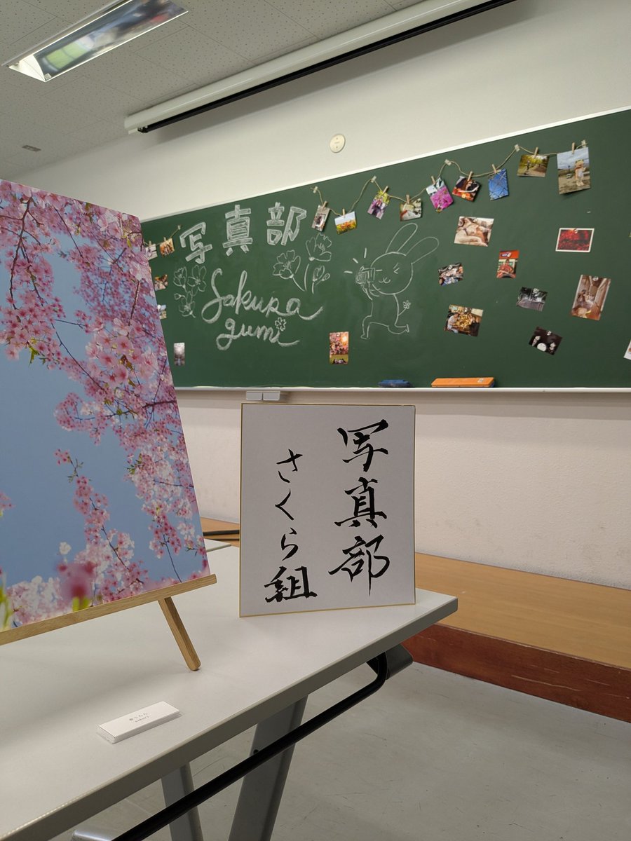 おはようございます！！
新歓祭、写真部さくら組開場しました！
3B202にて写真展をやっています
あいにくに天気ではありますが、ぜひお越しください！！
#筑波新歓2026