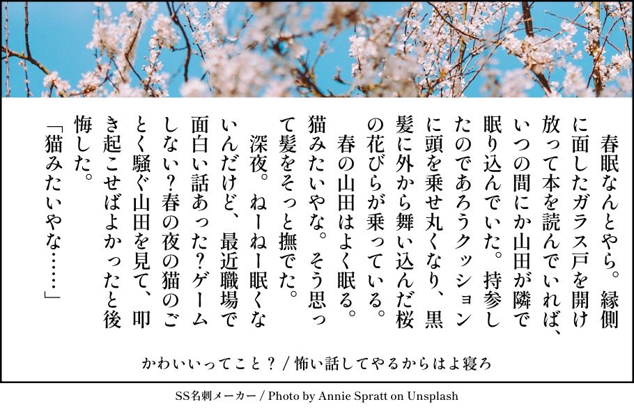 しろくま🐻‍❄️ tweet media