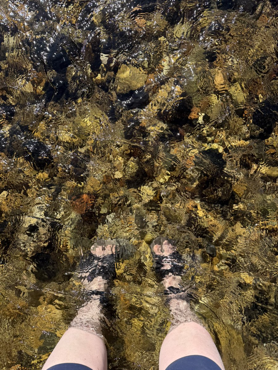 RebeccaSusan tweet media