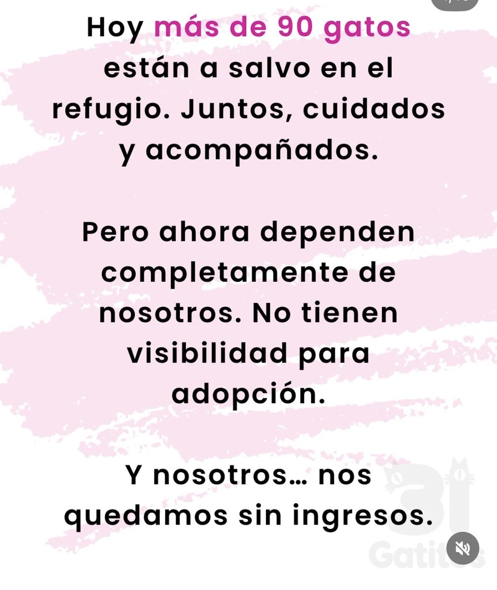 Laura Sánchez Ley tweet media