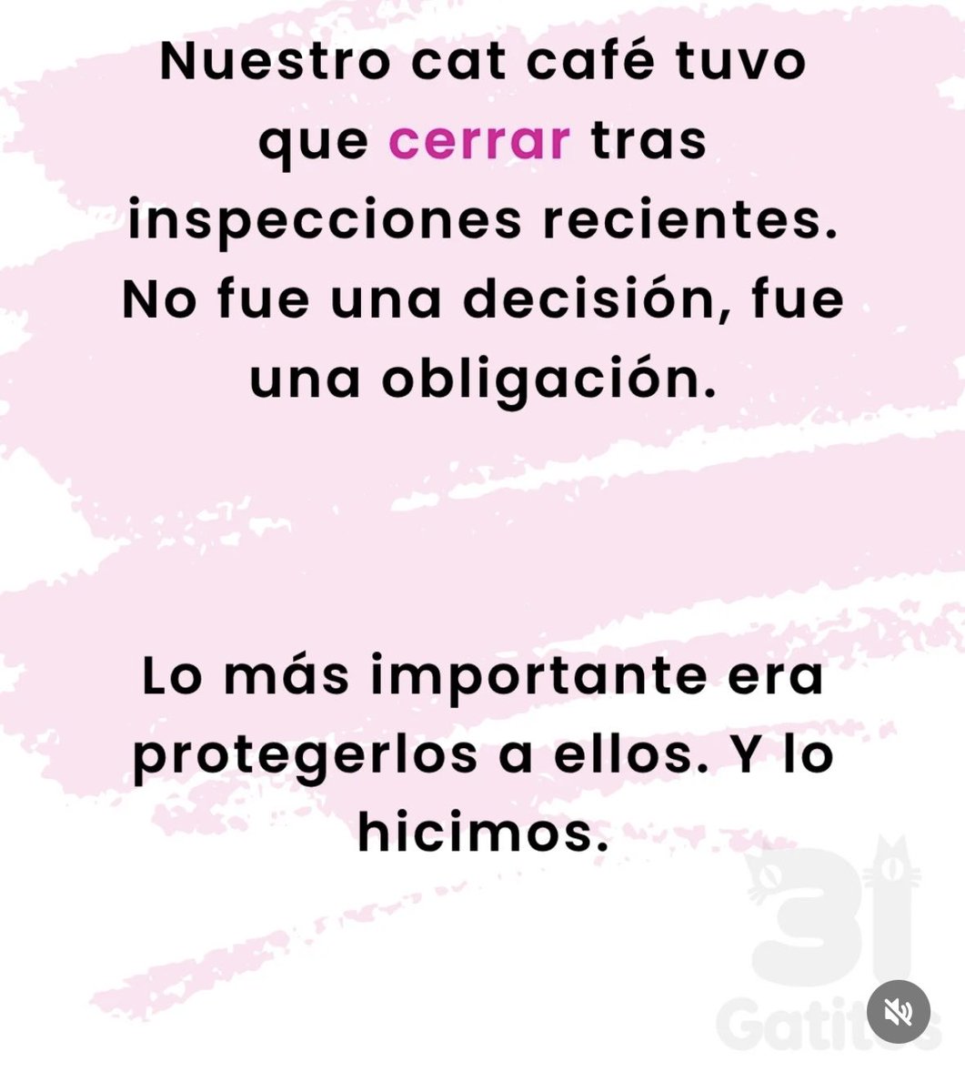 Laura Sánchez Ley tweet media