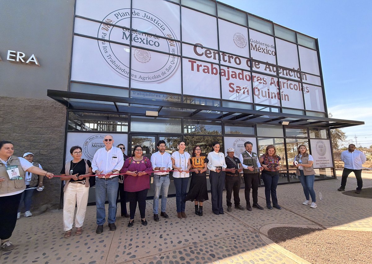 IMSS  tweet media