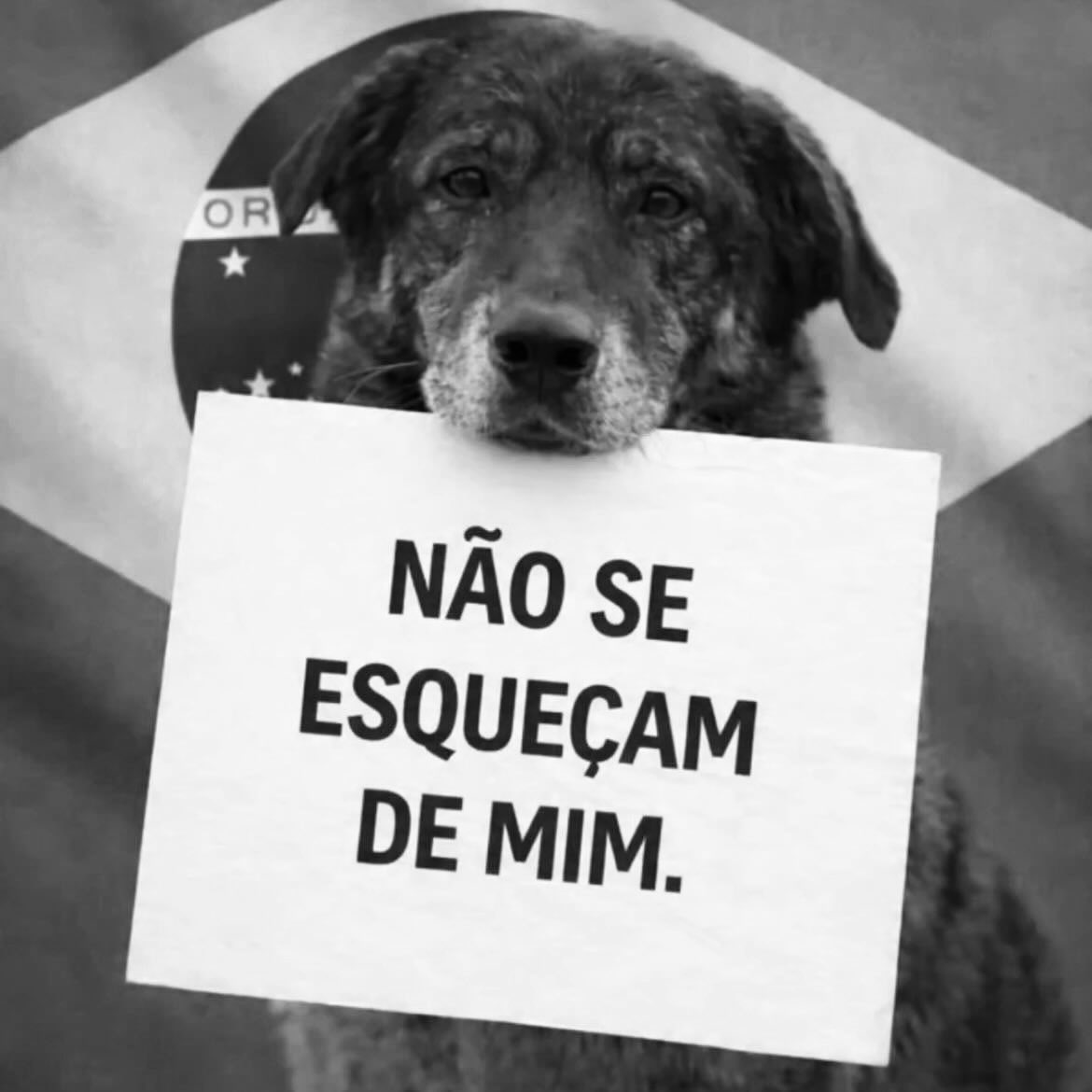 Marco Valverde ® tweet media