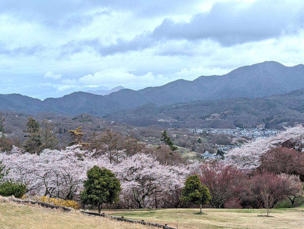 leica_elmar tweet media