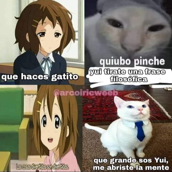 Si te sigo eres fan de Yui tweet media
