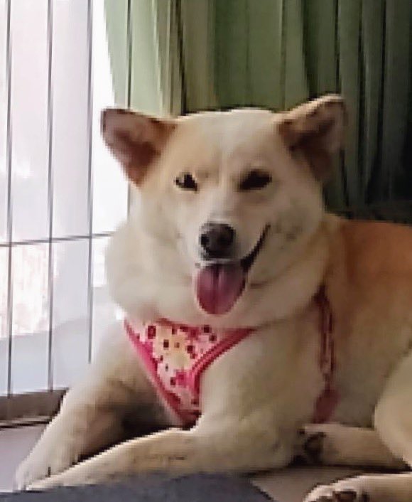 ヤスヒロ tweet media