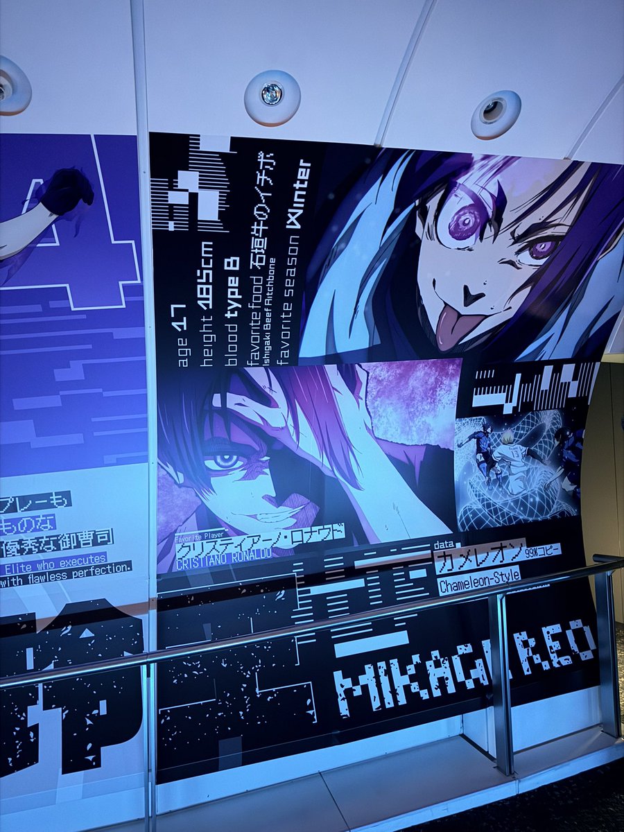 카이묵♡ tweet media