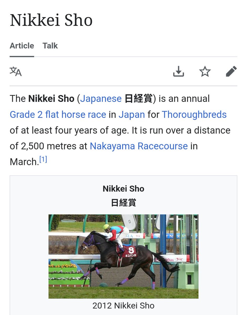 コイキング of the South tweet media