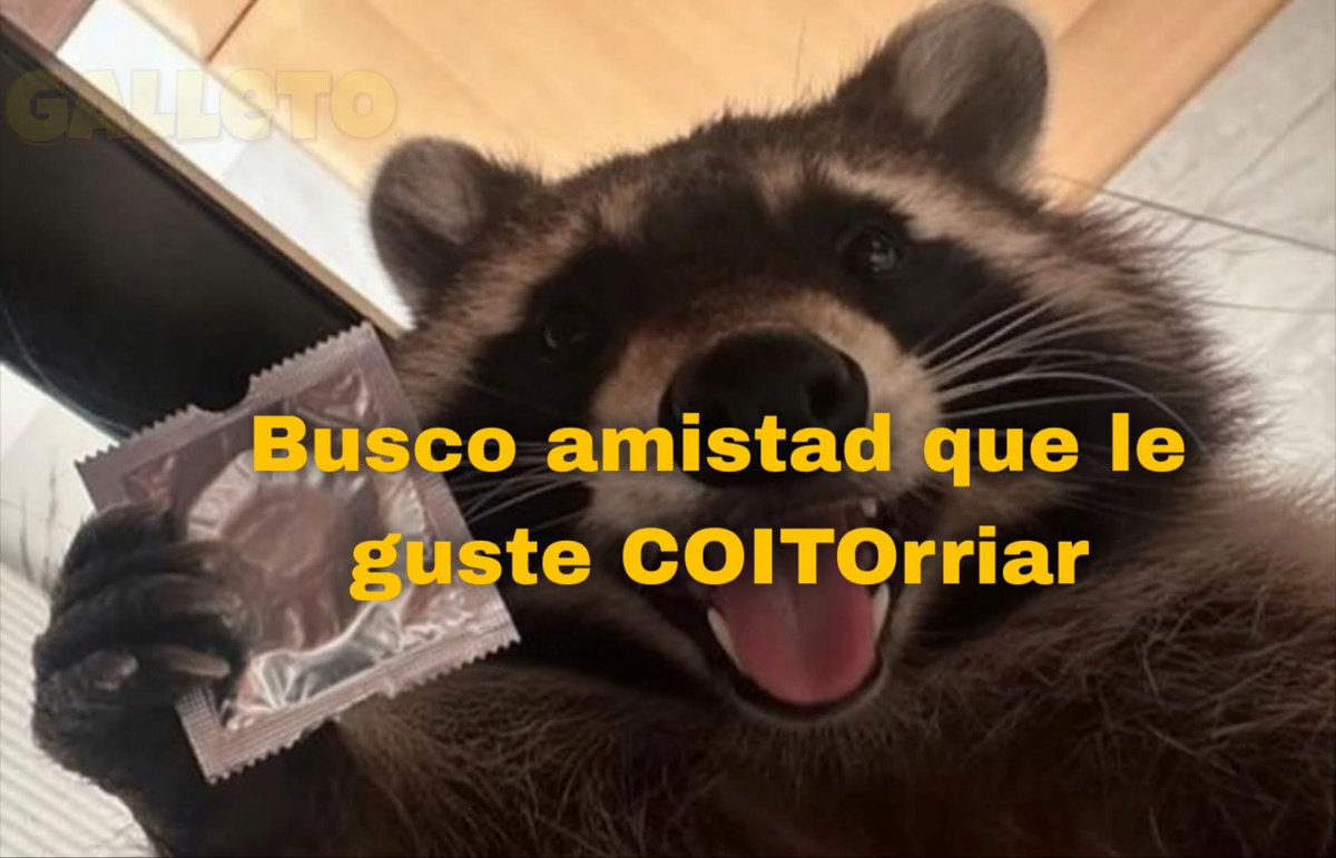 ✨Adanzuko, Tu Chico Ye - Ye✨ tweet media