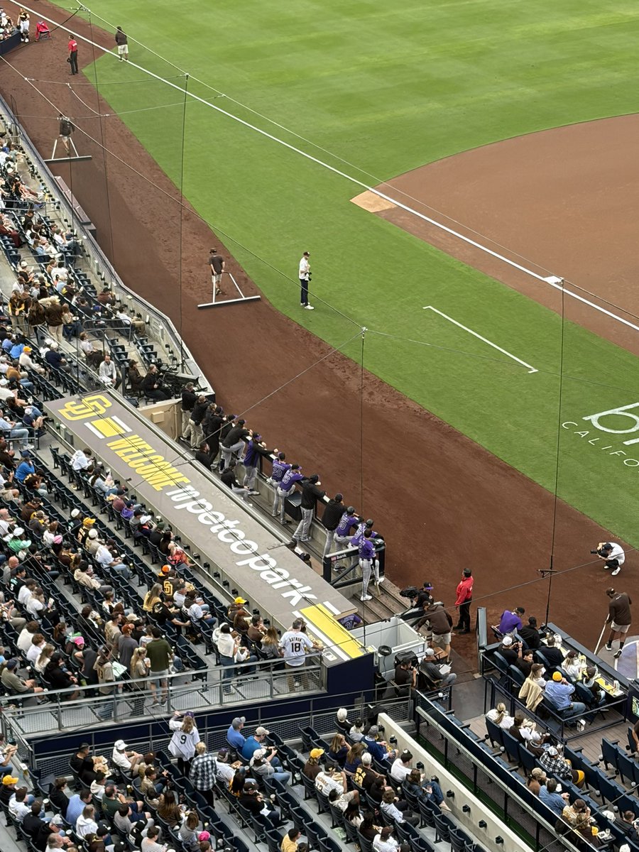 Dinger’s Witness Protection tweet media