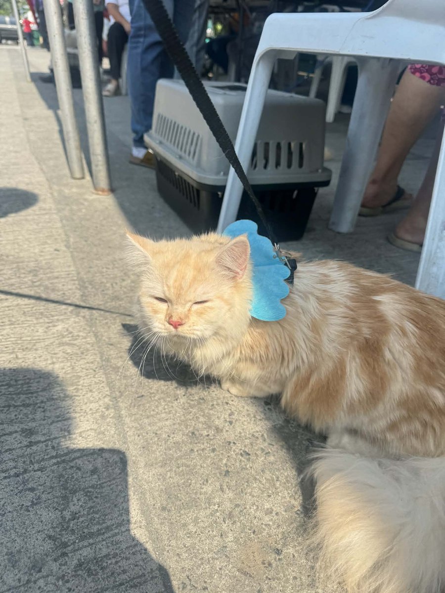 waffles 🧇 tweet media