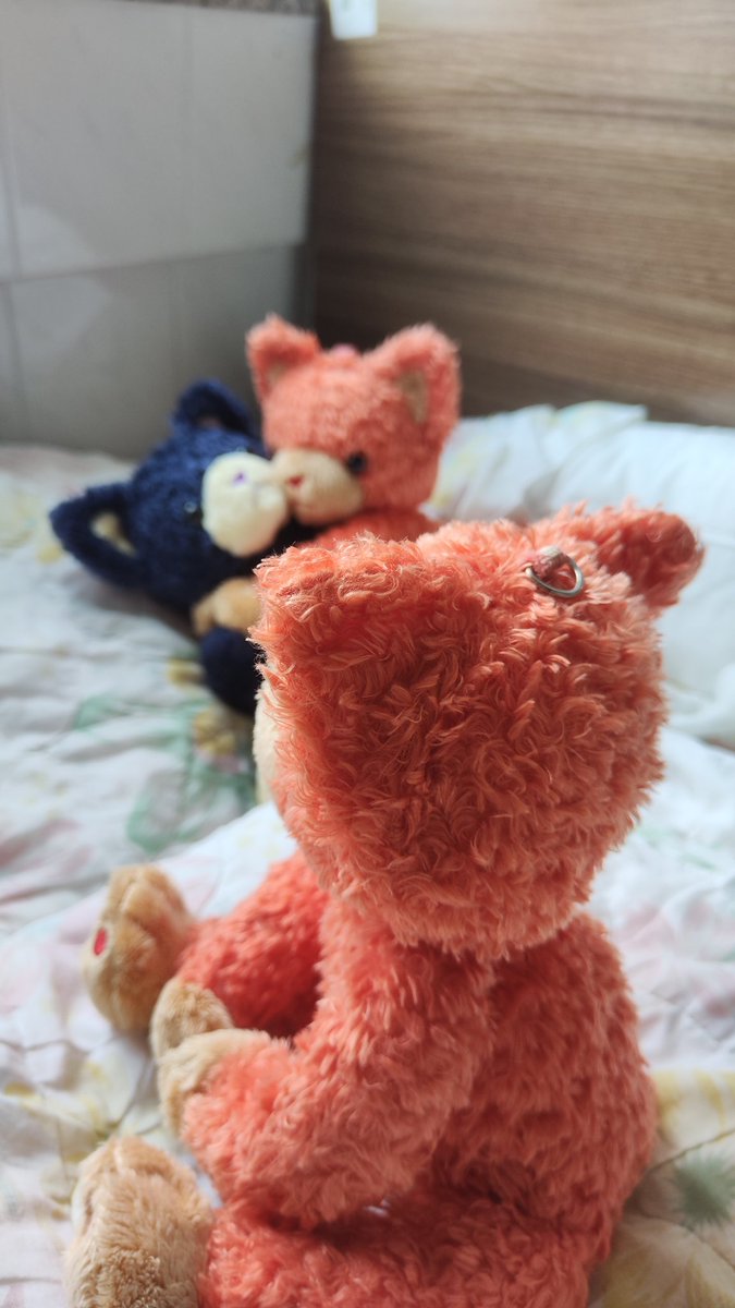 🍎🍅🍎🍛kai@ スタトレ 2日も参戦🍛♪♬ tweet media