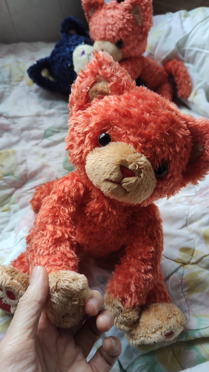 🍎🍅🍎🍛kai@ スタトレ 2日も参戦🍛♪♬ tweet media